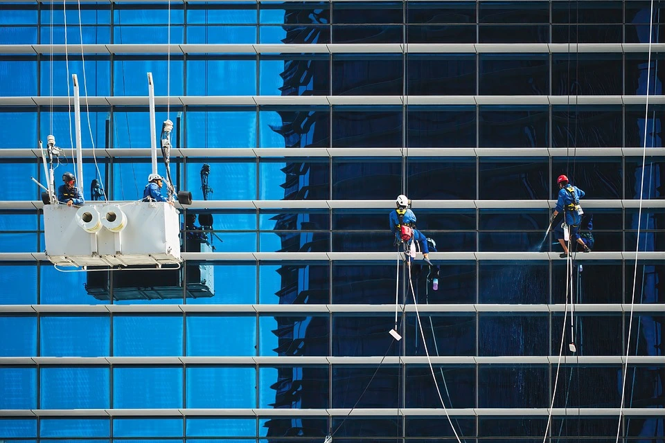 how to clean high window with birds poop