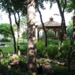 different buildings that go in your yard