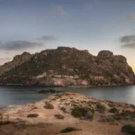 guide to restoring roo island